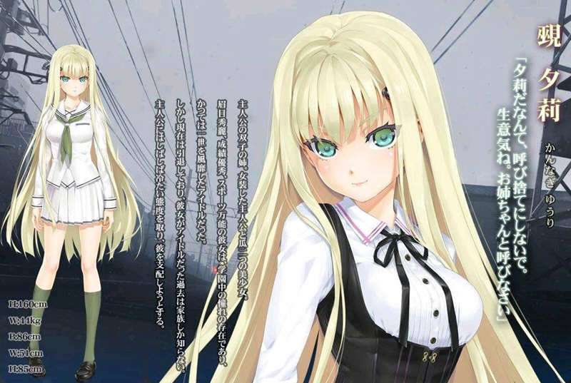 【PC+ONS安卓】美少女万华镜 1-5 官中全系列 PC 神级ADV收藏